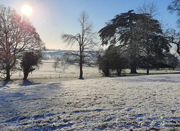 Winter fields