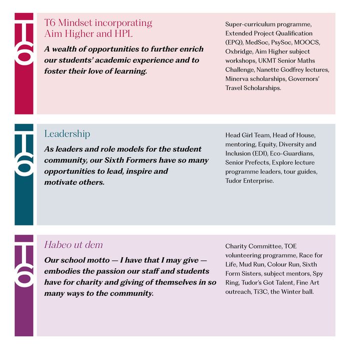 T6 graphic for web